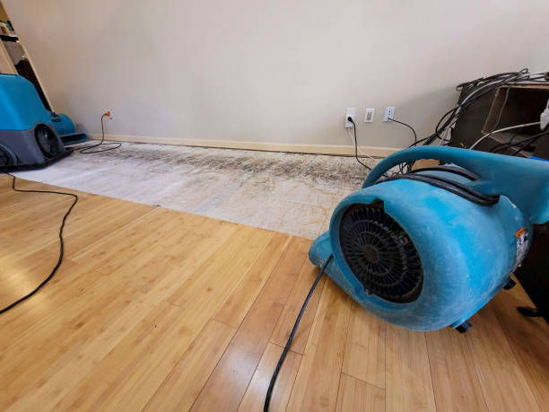 Professional Basement Flood Cleanup technician working in Mount Sinai, NY